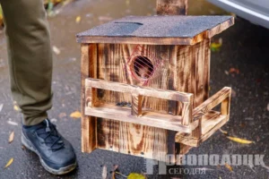 Фото https://t.me/novayaby