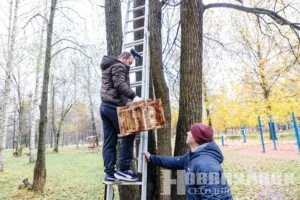 Фото https://t.me/novayaby