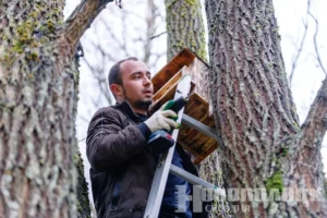 Фото https://t.me/novayaby