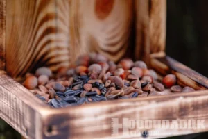 Фото https://t.me/novayaby