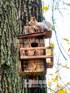 Фото https://t.me/novayaby