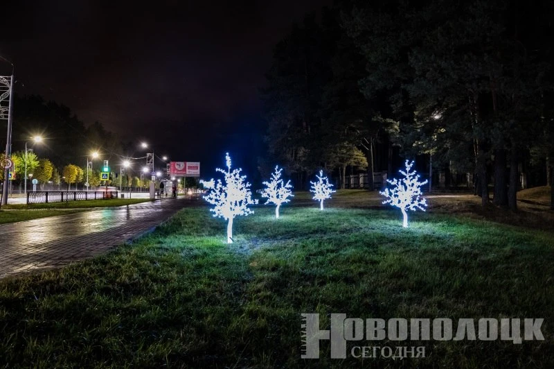 Пять светящихся деревьев украсили территорию у гостиницы «Нафтан» в Новополоцке