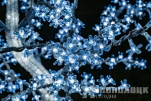 Фото https://t.me/novayaby