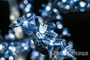 Фото https://t.me/novayaby
