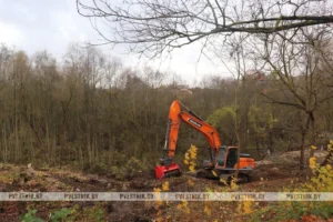 Фото https://t.me/Polacki_vesnik