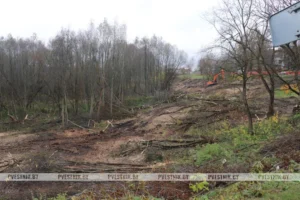 Фото https://t.me/Polacki_vesnik