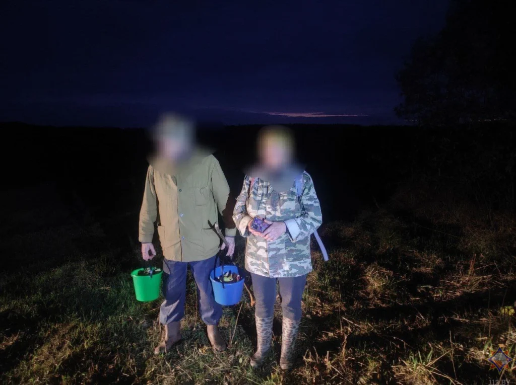 В Полоцком районе спасатели нашли заблудившихся в лесу грибников