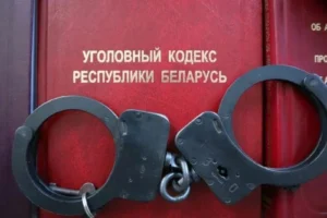 В Новополоцке водитель маршрутки попытался подкупить контролеров и попал под уголовное дело