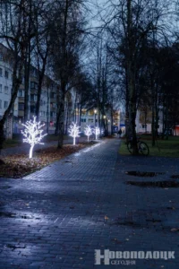 Фото https://t.me/novayaby