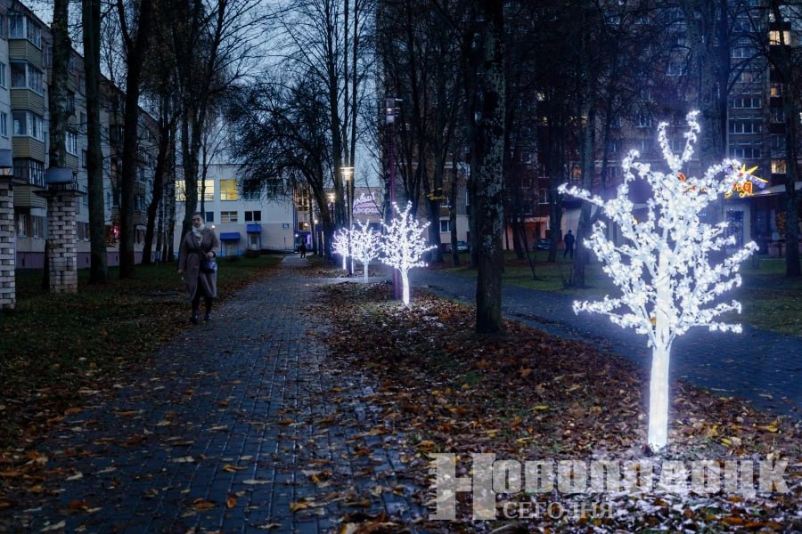 В Новополоцке установили световые деревья возле Ледового дворца «Химик»
