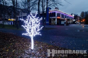 Фото https://t.me/novayaby