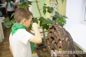 Фото https://t.me/novayaby