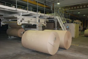 В Новополоцке планируют строительство целлюлозно-картонного комбината