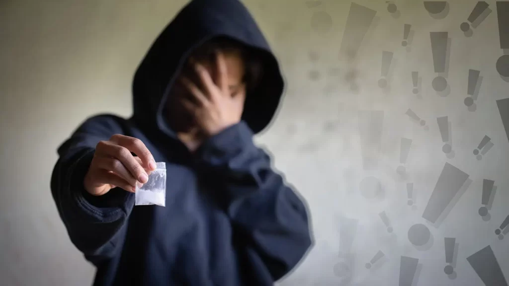 В Полоцком районе задержали женщину с 1,2 кг наркотиков