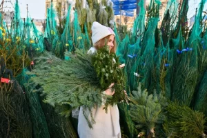 Елочные базары в Новополоцке стартуют 20 декабря