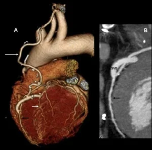 Фото https://t.me/polotskcgb