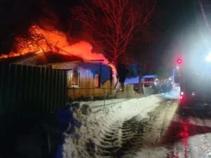 В деревне Ореховичи при пожаре в жилом доме обнаружено тело женщины