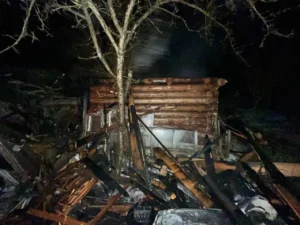 Пожар уничтожил баню в садовом товариществе под Полоцком