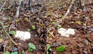 Жительница Полоцкого района стала фигуранткой дела о психотропах