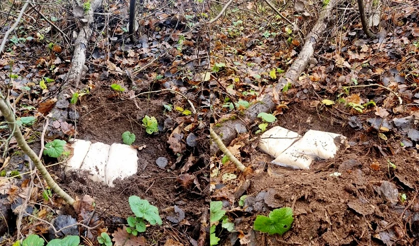 Жительница Полоцкого района стала фигуранткой дела о психотропах