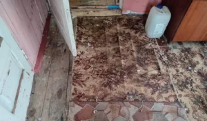 Фото https://sk.gov.by