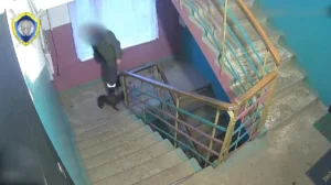 Жителя Полоцкого района осудили за жестокое обращение с собакой